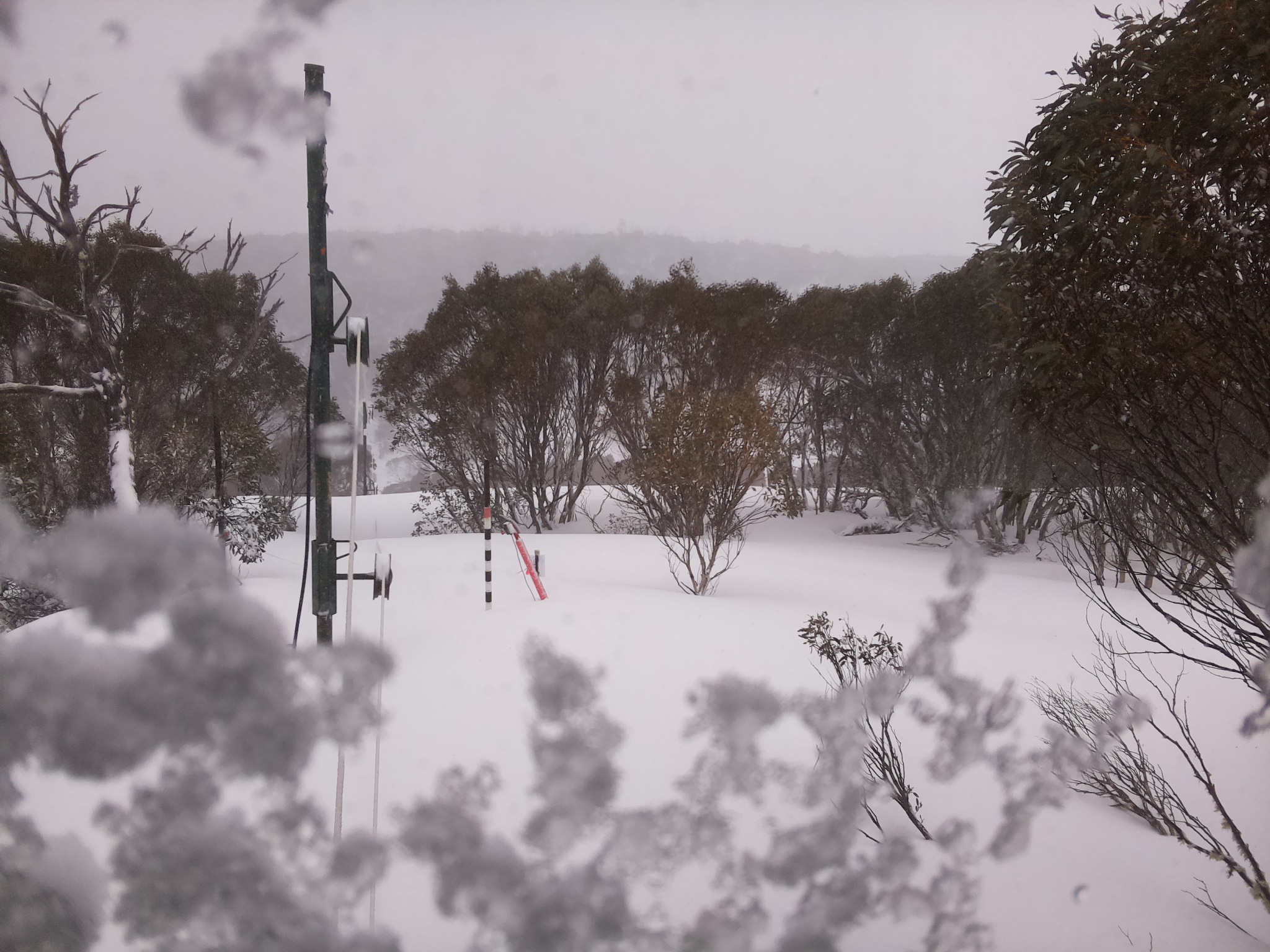 Bogong Web Cam 10:50am Thursday 28th of August 2025