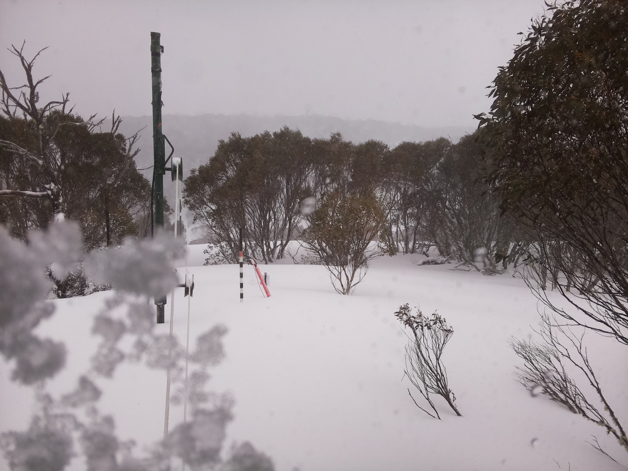 Bogong Web Cam 11:00am Thursday 28th of August 2025