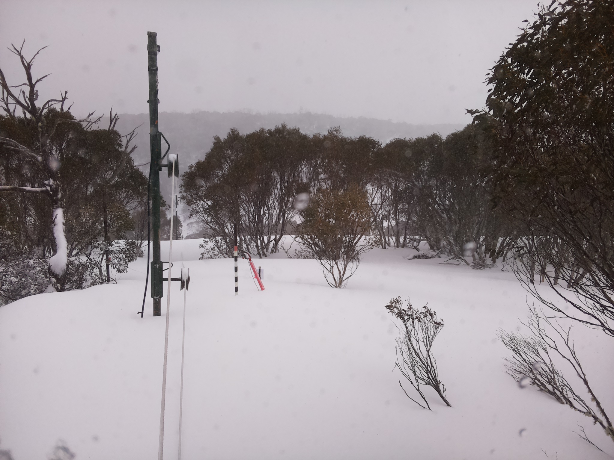 Bogong Web Cam 11:10am Thursday 28th of August 2025