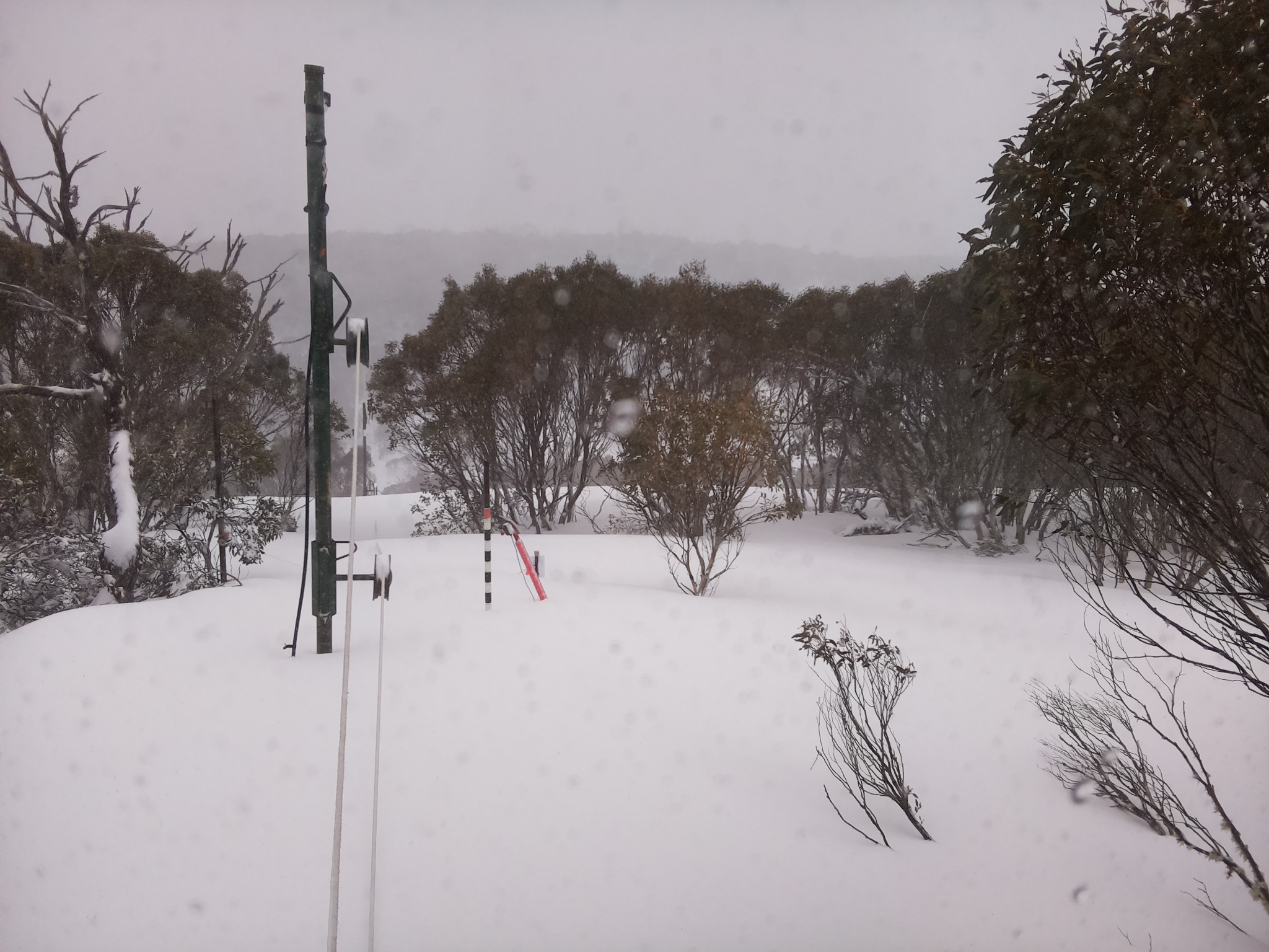 Bogong Web Cam 11:20am Thursday 28th of August 2025