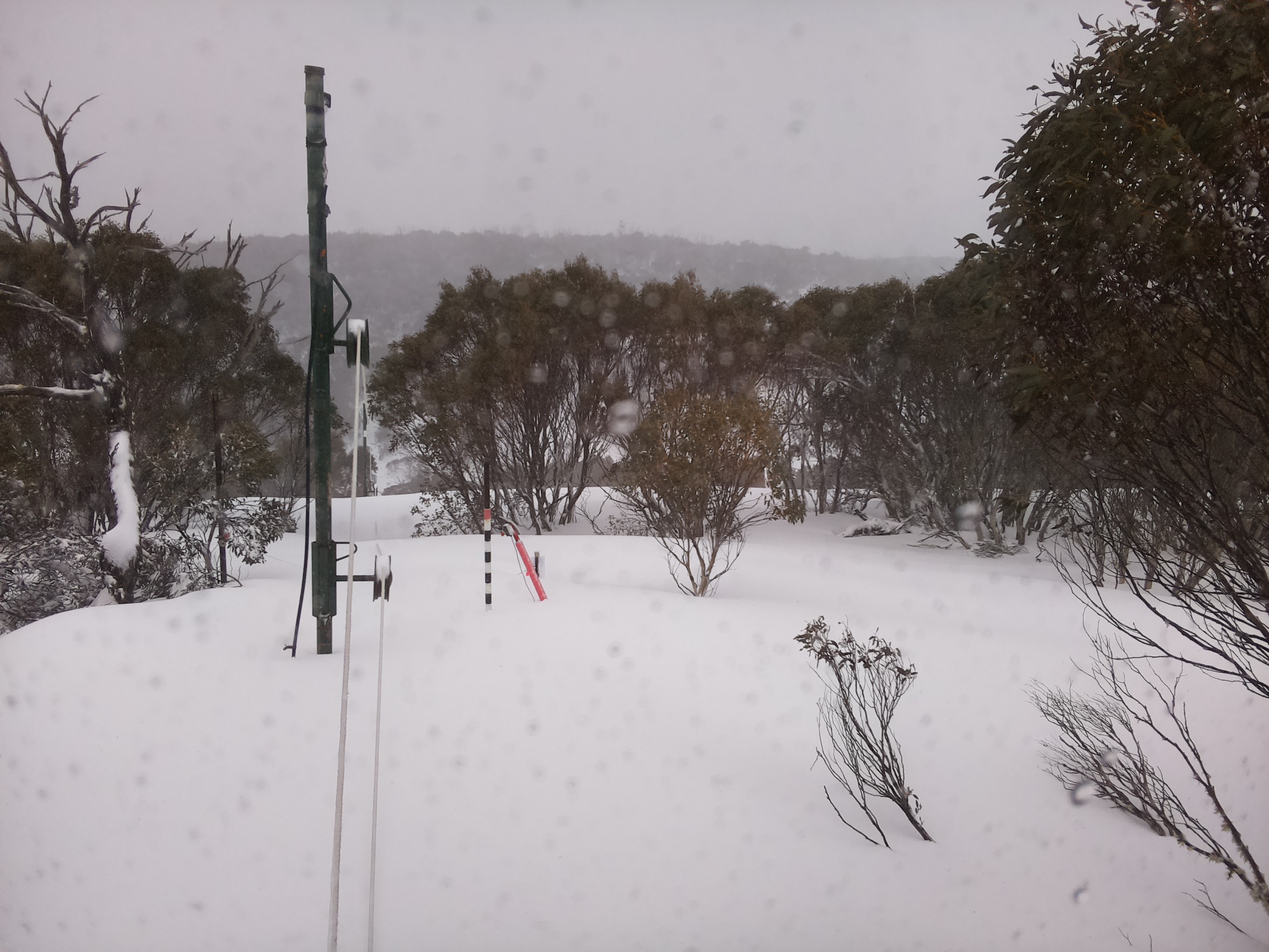 Bogong Web Cam 11:30am Thursday 28th of August 2025