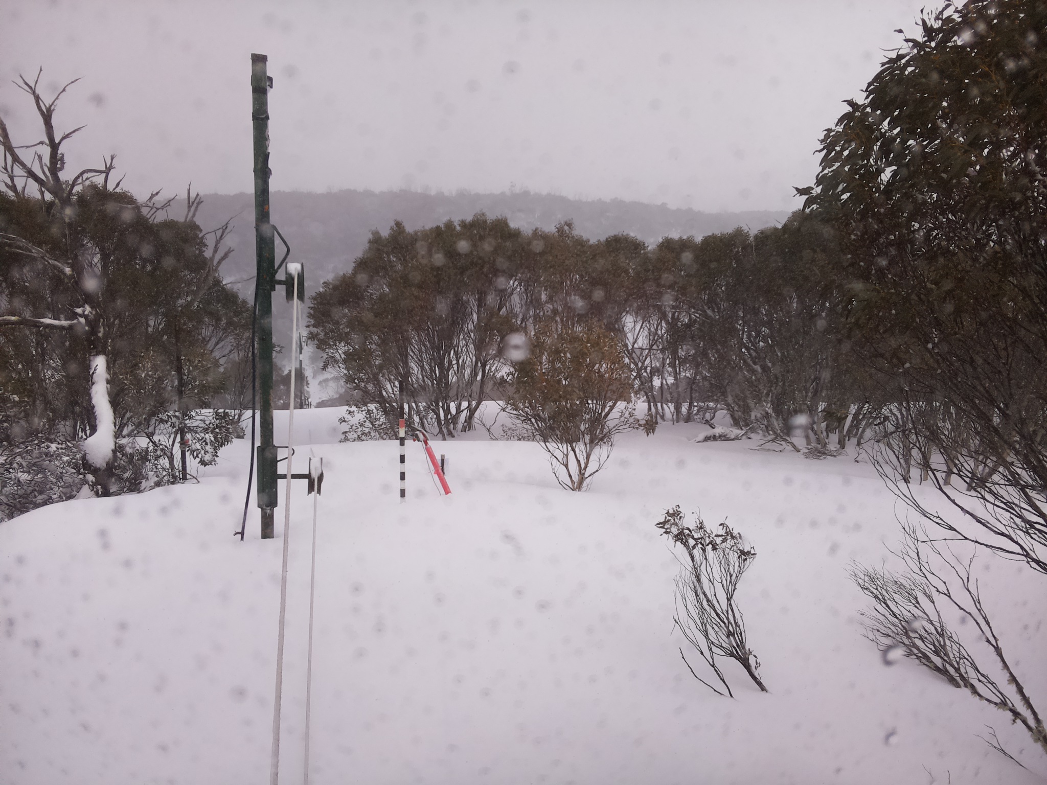 Bogong Web Cam 11:50am Thursday 28th of August 2025