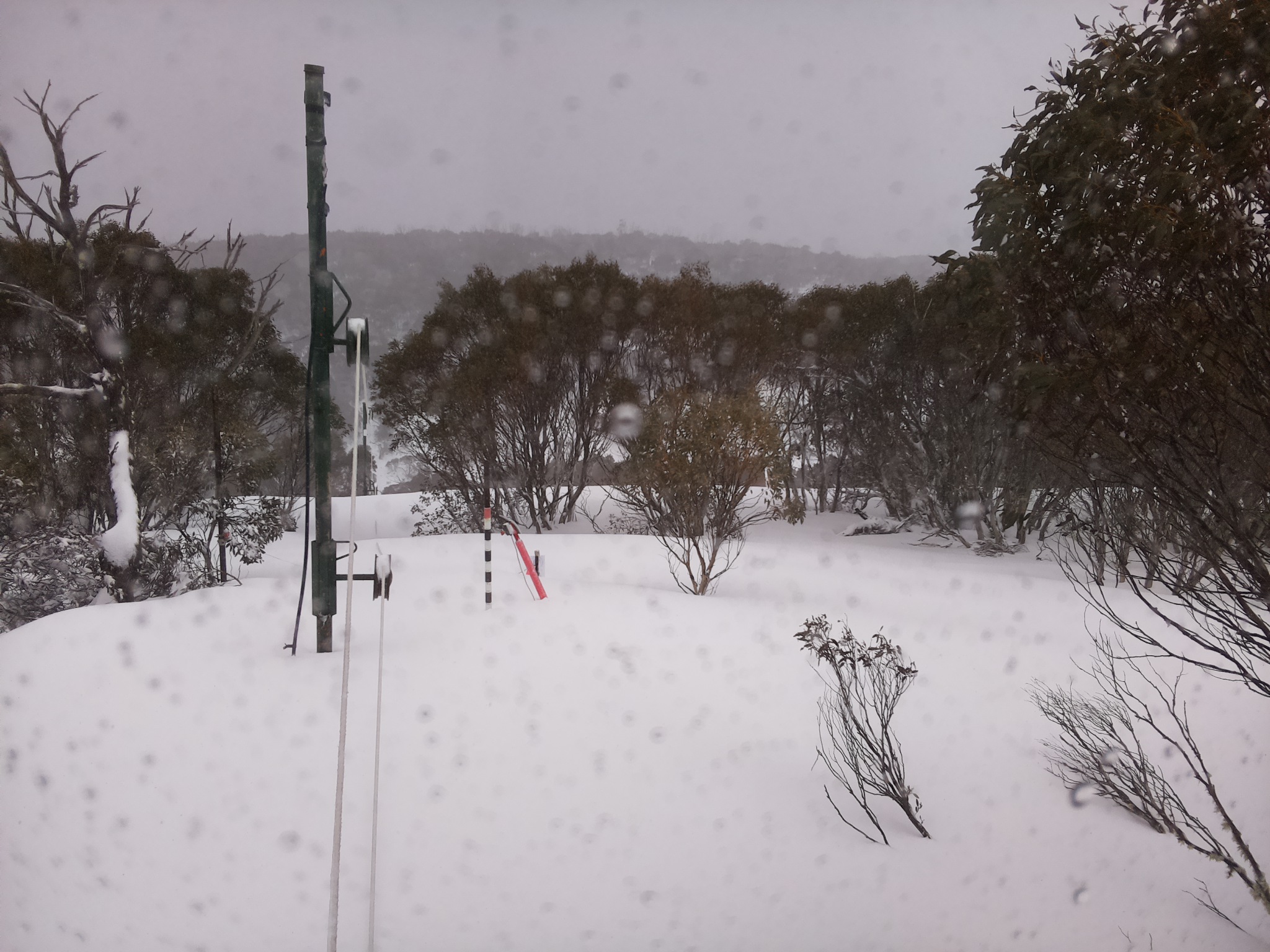 Bogong Web Cam 12:00pm Thursday 28th of August 2025