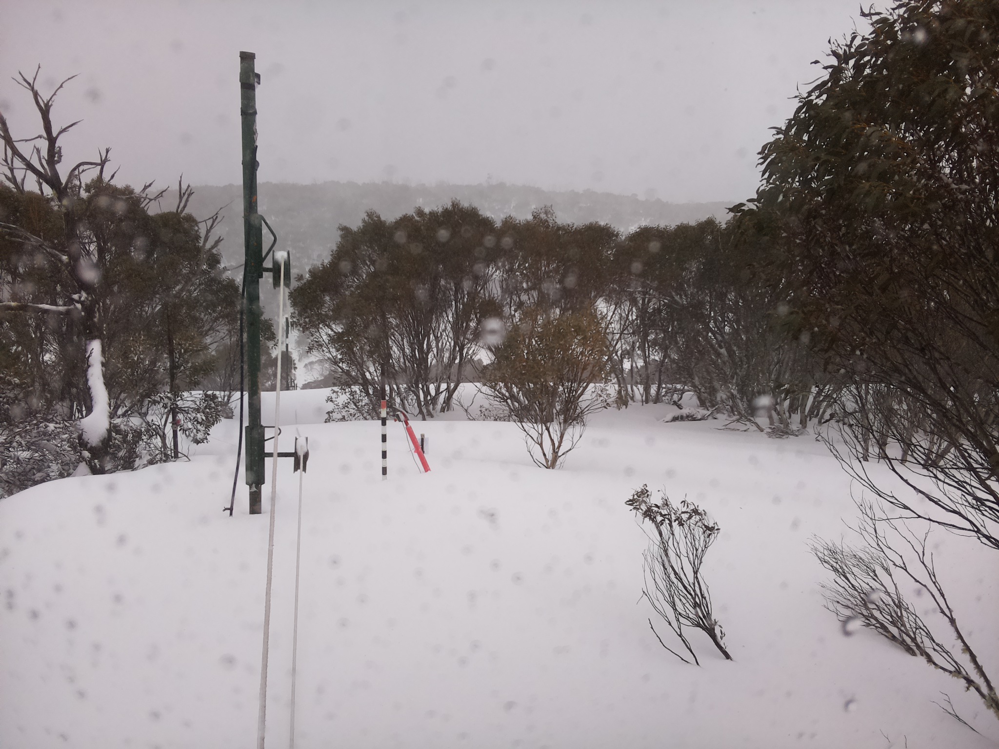 Bogong Web Cam 12:10pm Thursday 28th of August 2025