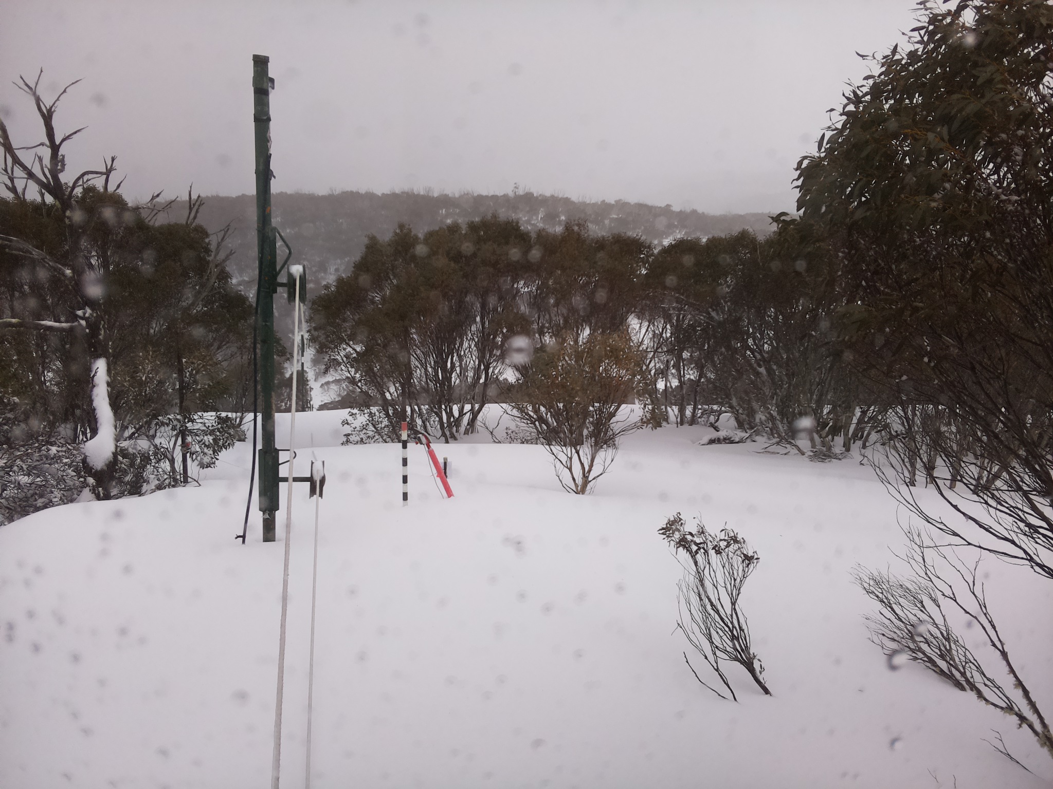 Bogong Web Cam 12:20pm Thursday 28th of August 2025