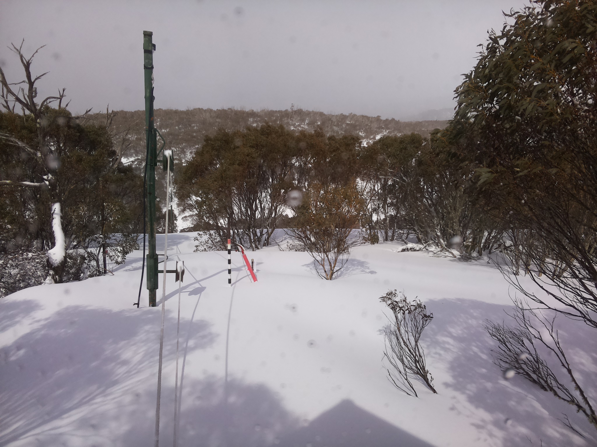 Bogong Web Cam 12:30pm Thursday 28th of August 2025