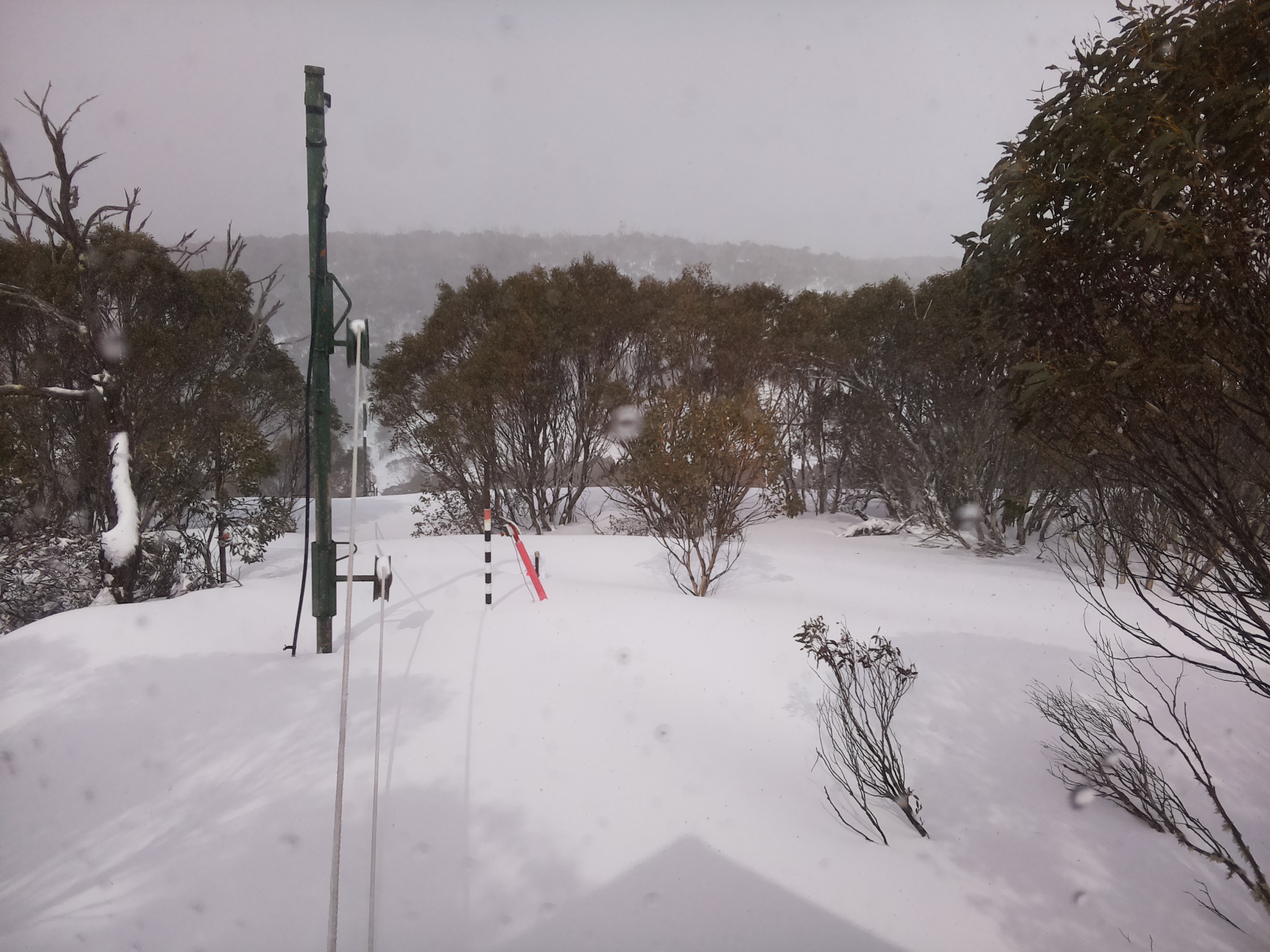 Bogong Web Cam 12:40pm Thursday 28th of August 2025