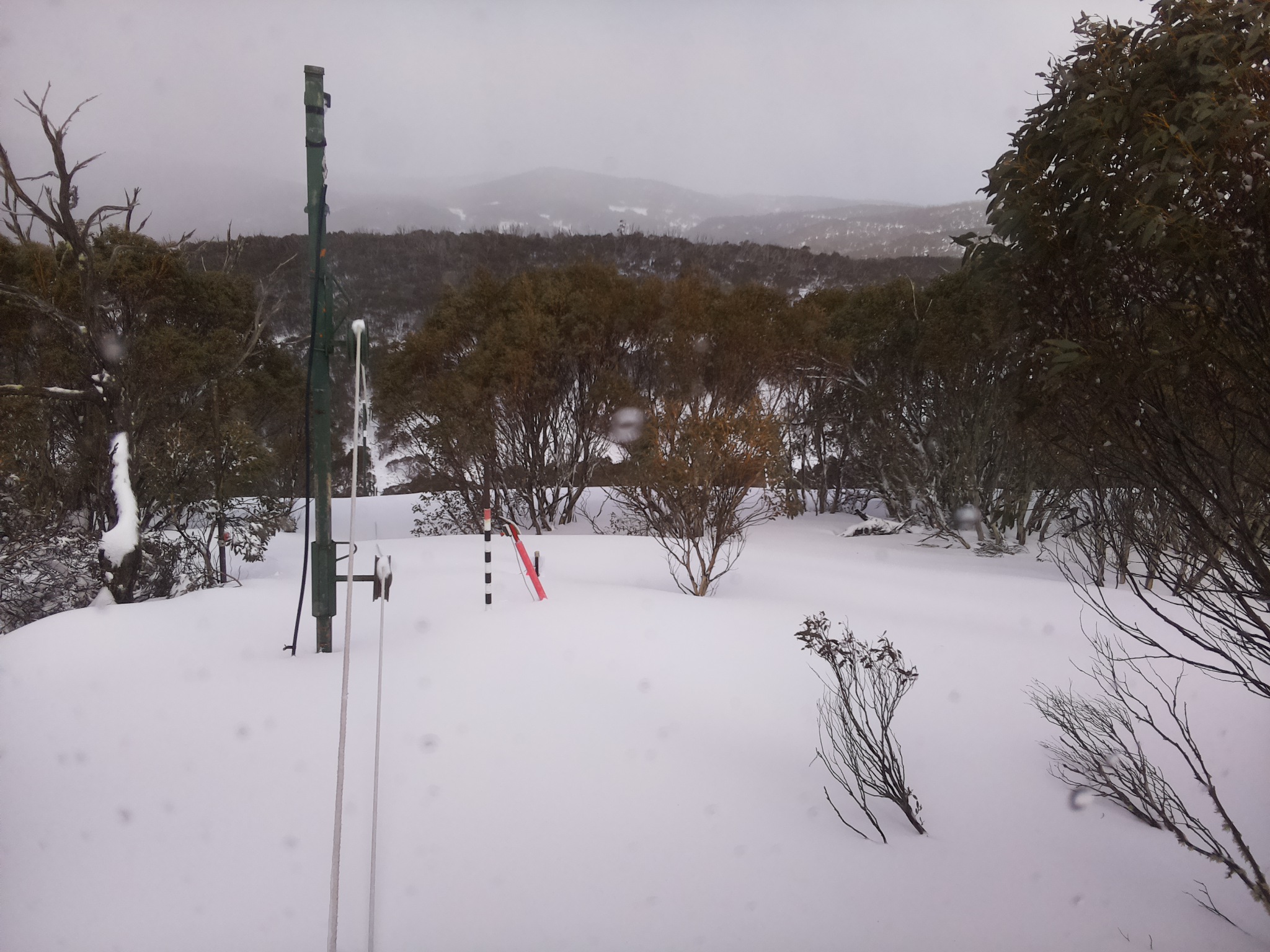Bogong Web Cam 1:20pm Thursday 28th of August 2025