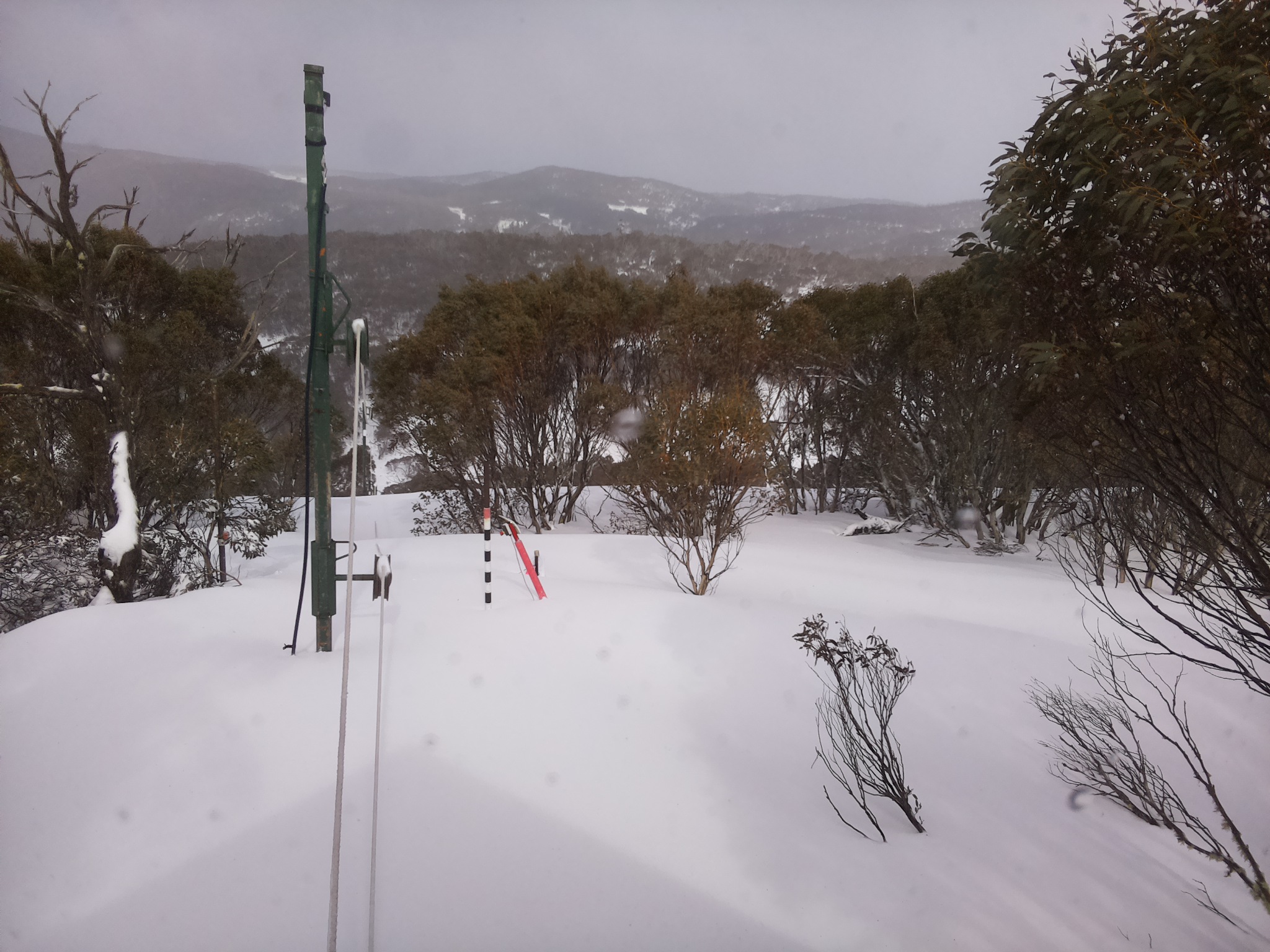 Bogong Web Cam 1:40pm Thursday 28th of August 2025