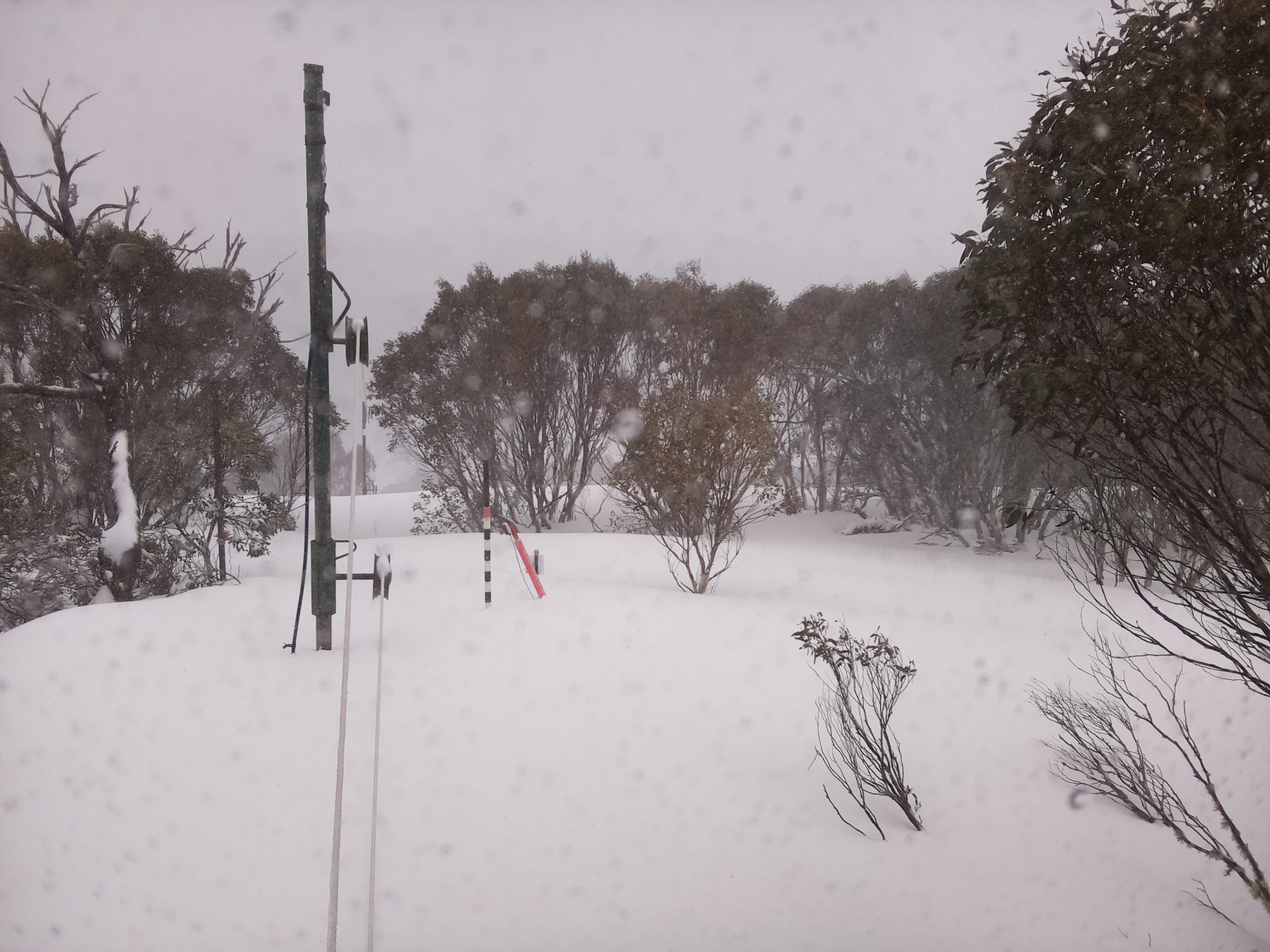 Bogong Web Cam 2:00pm Thursday 28th of August 2025