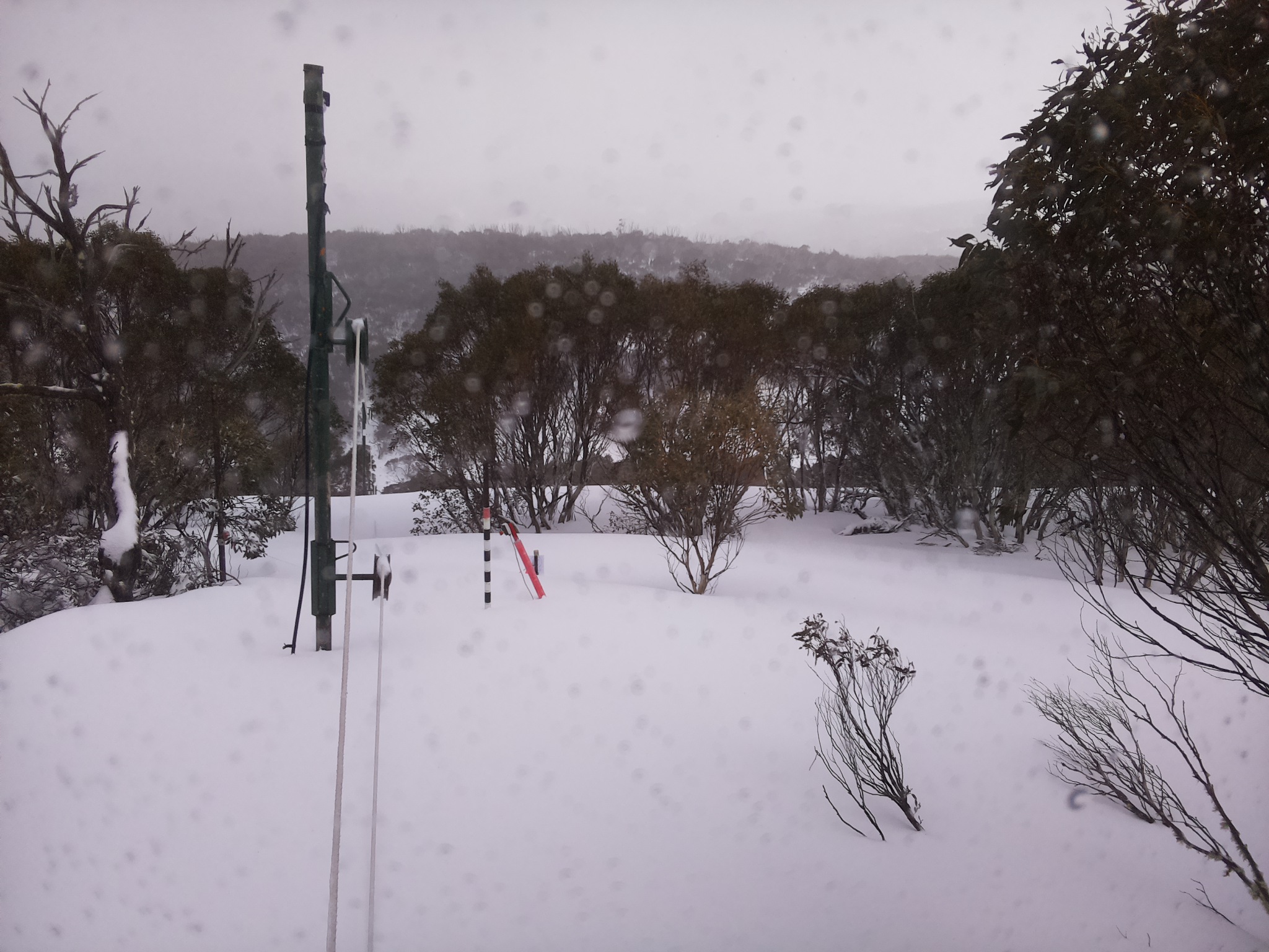 Bogong Web Cam 2:10pm Thursday 28th of August 2025