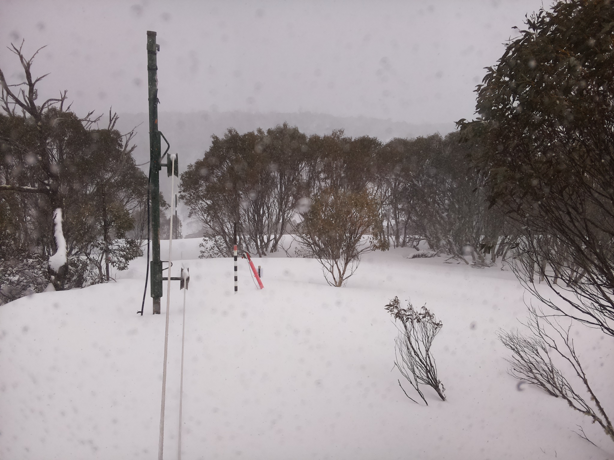 Bogong Web Cam 2:20pm Thursday 28th of August 2025