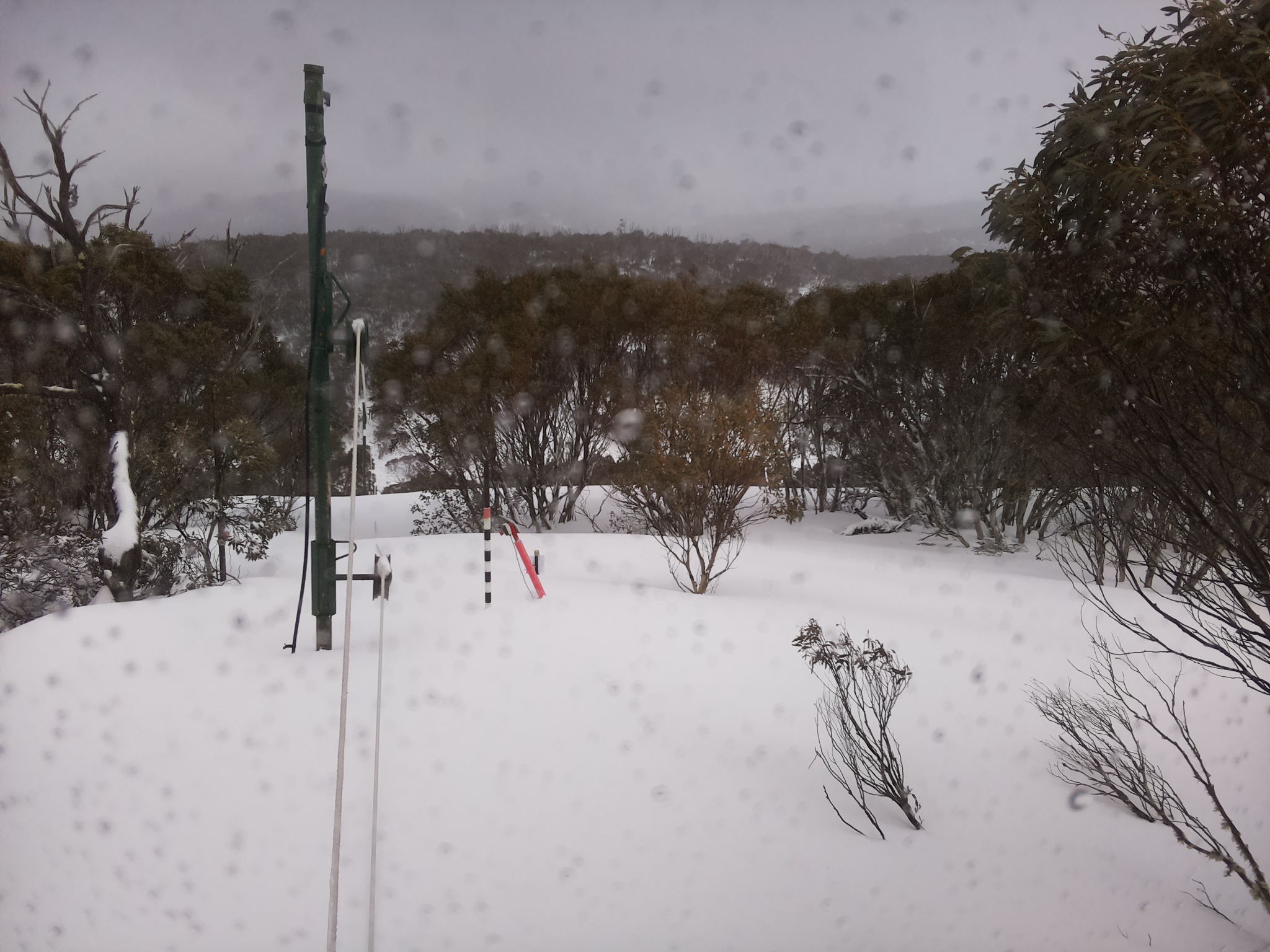 Bogong Web Cam 2:30pm Thursday 28th of August 2025