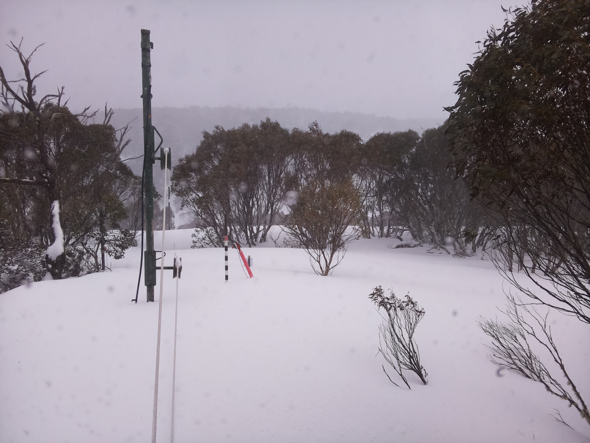 Bogong Web Cam 3:00pm Thursday 28th of August 2025