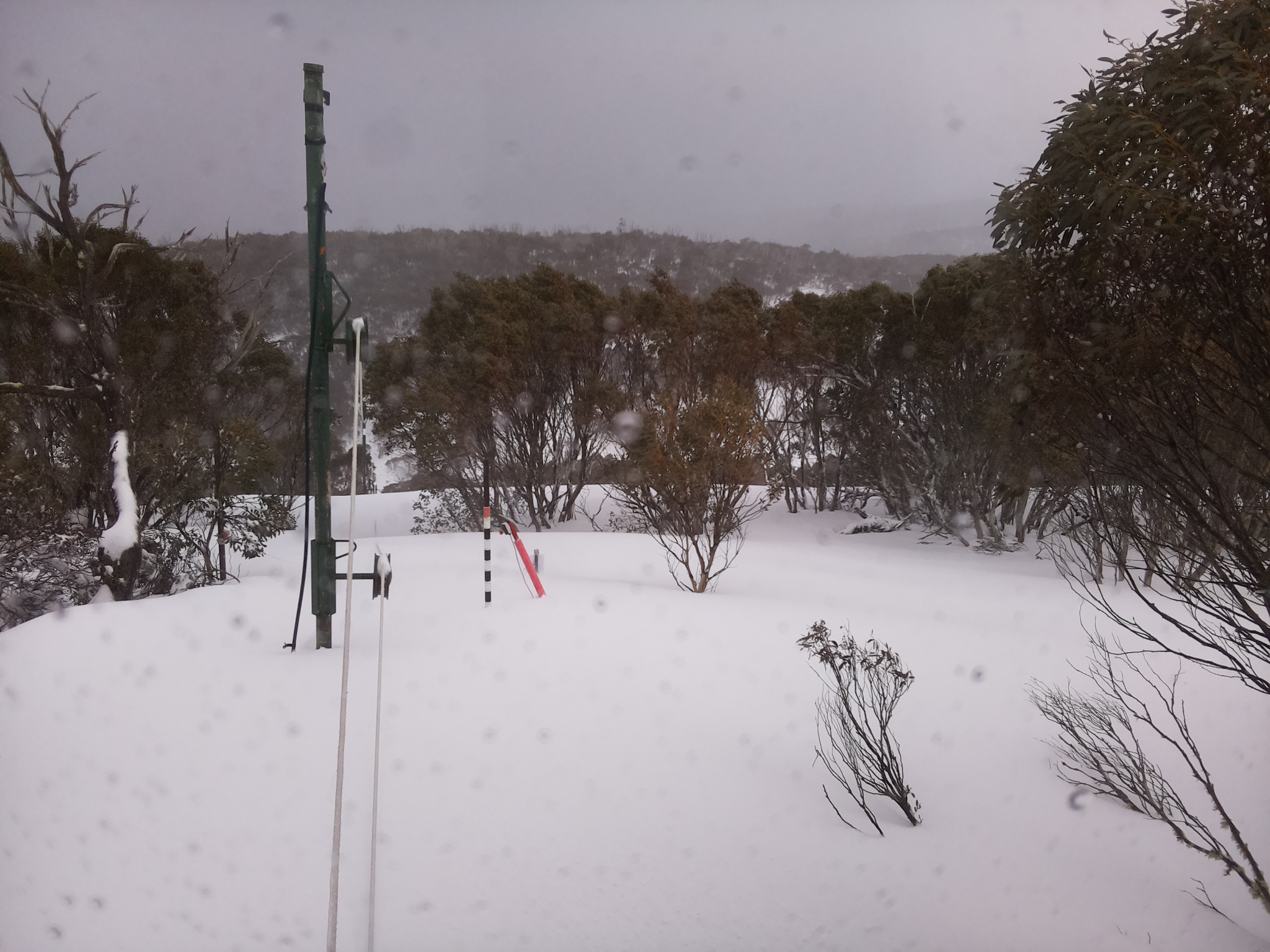 Bogong Web Cam 3:20pm Thursday 28th of August 2025