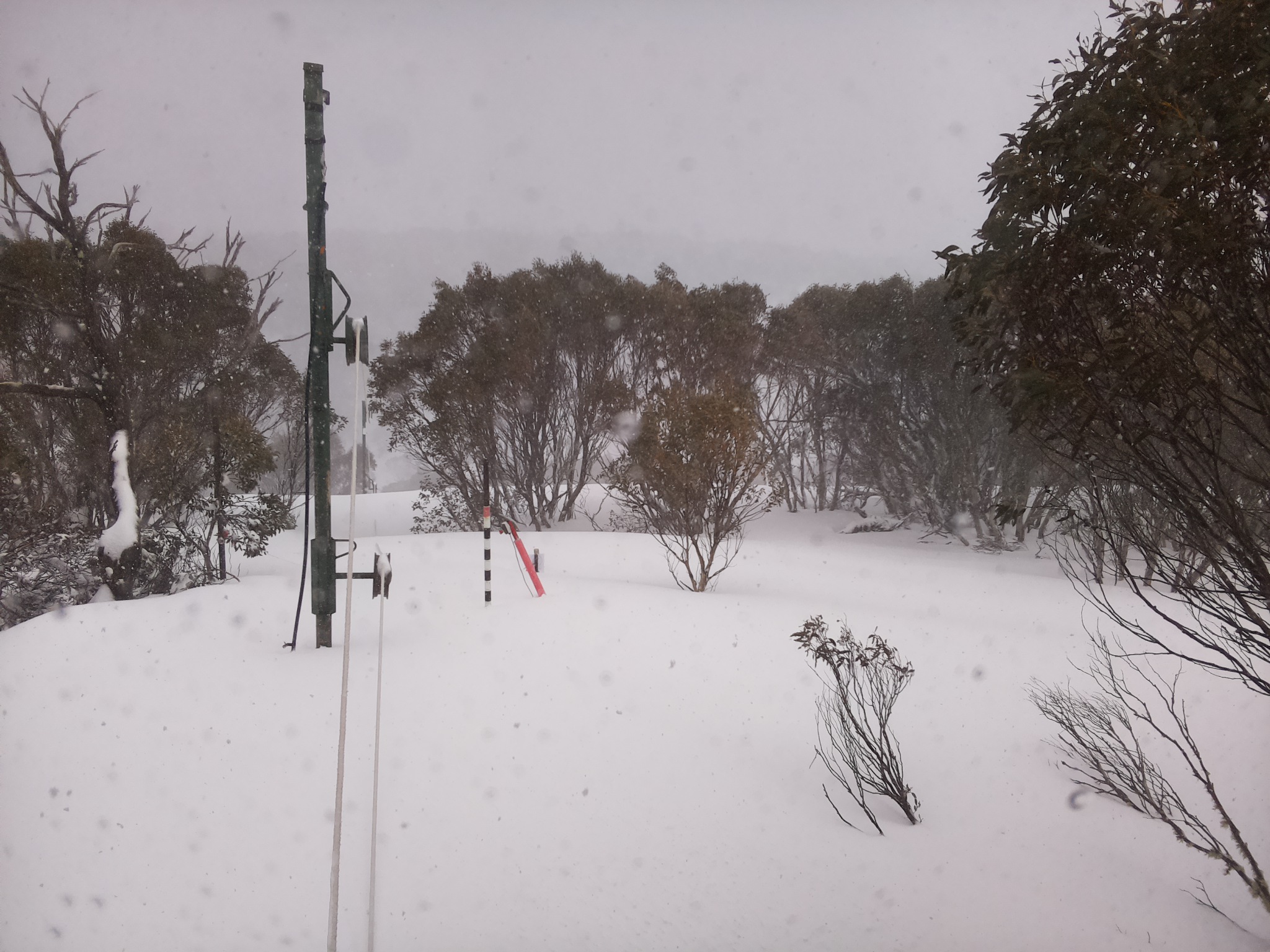 Bogong Web Cam 3:40pm Thursday 28th of August 2025