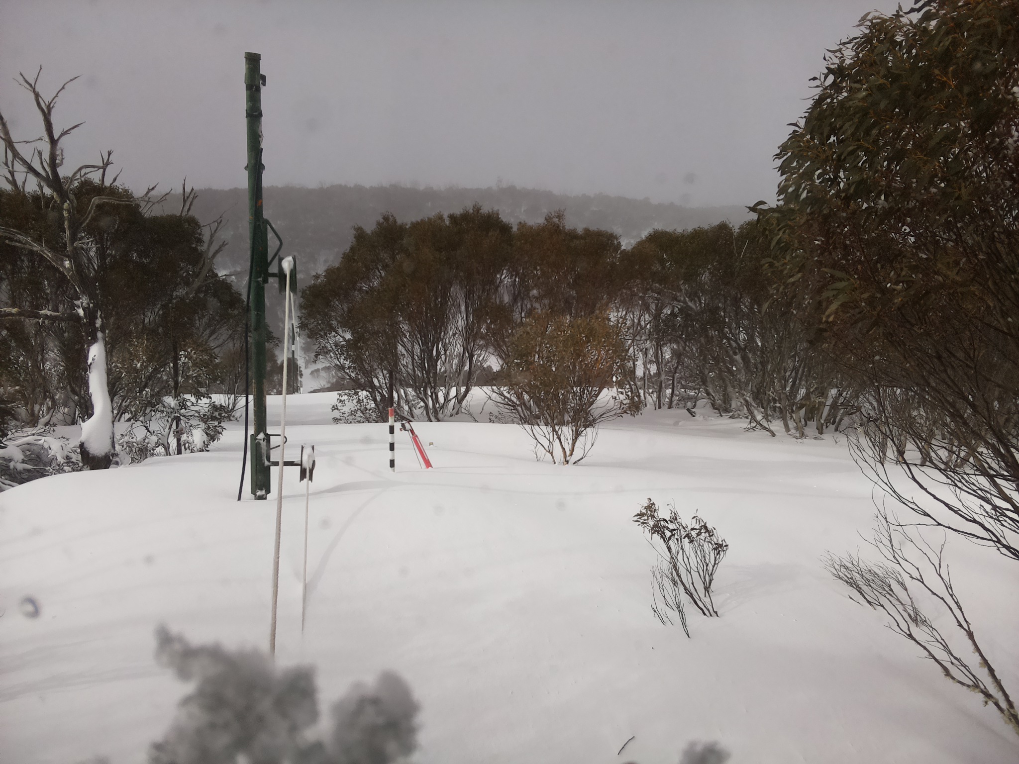 Bogong Web Cam 9:00am Friday 29th of August 2025
