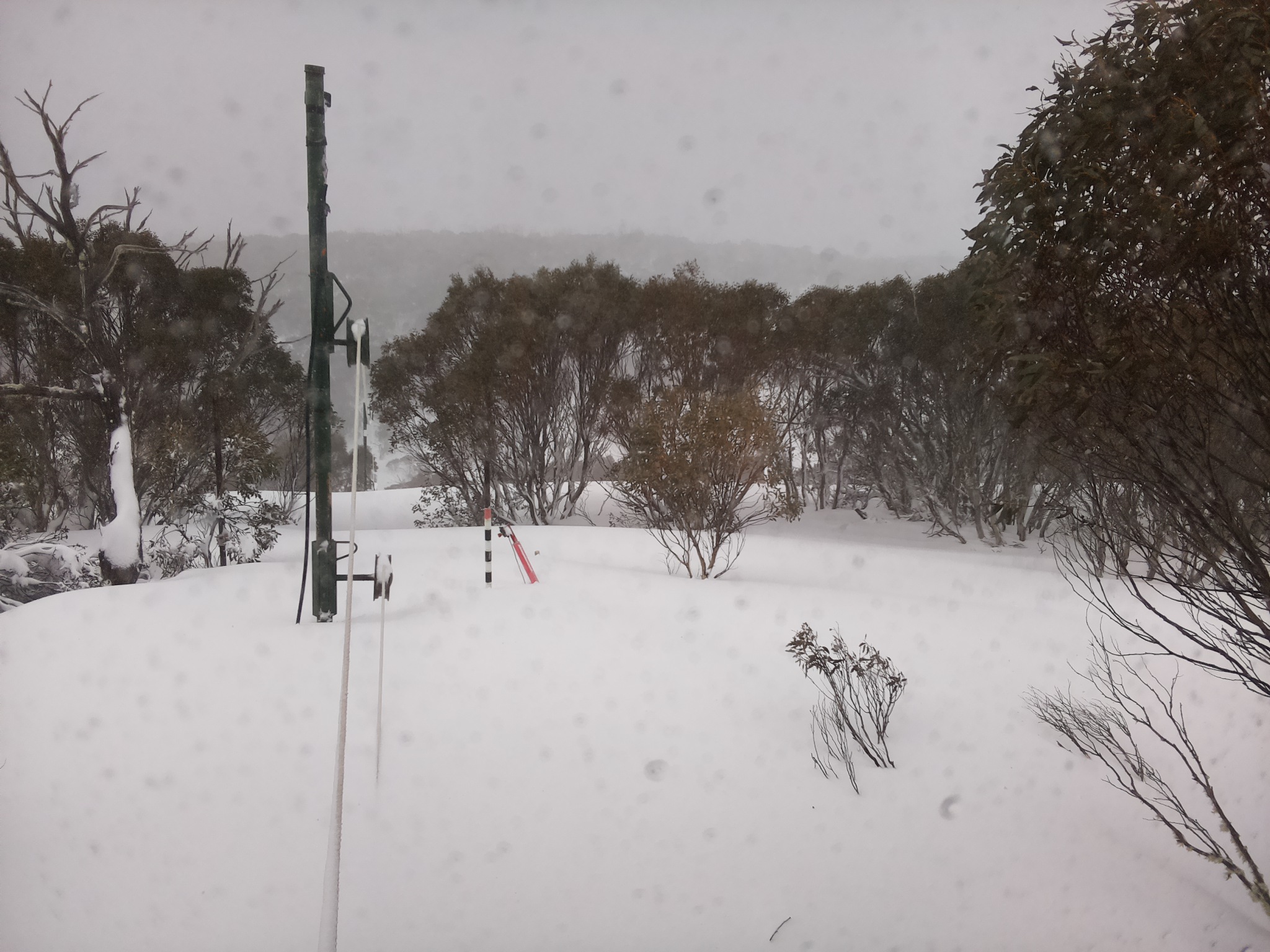Bogong Web Cam 9:20am Friday 29th of August 2025