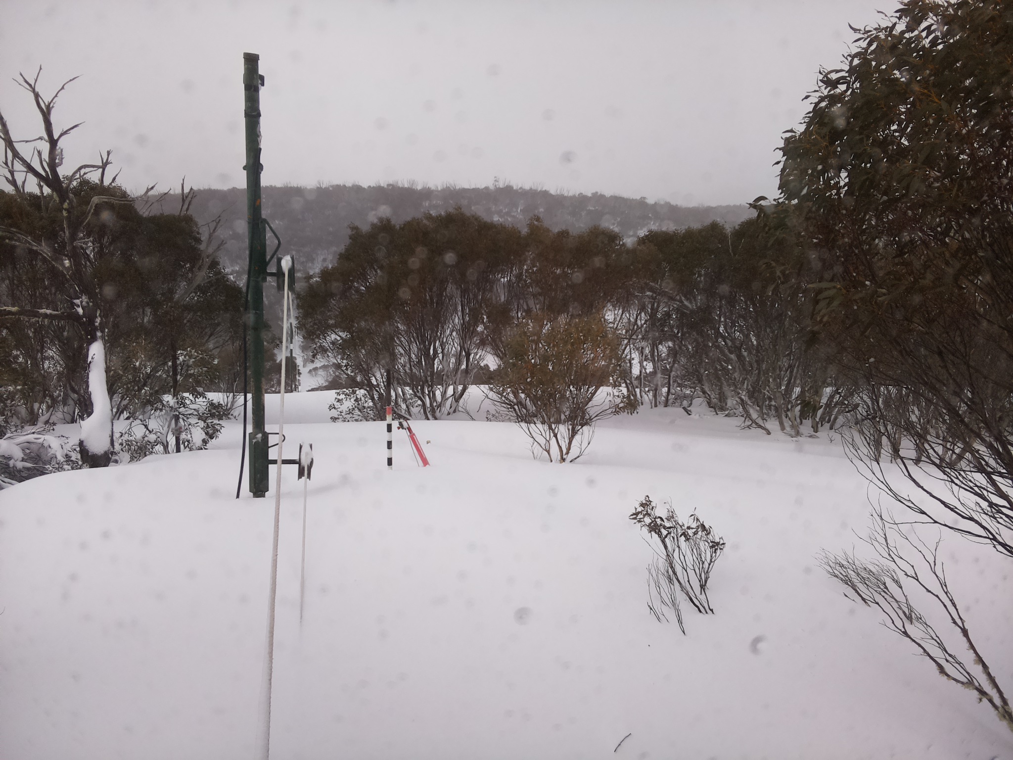 Bogong Web Cam 9:30am Friday 29th of August 2025