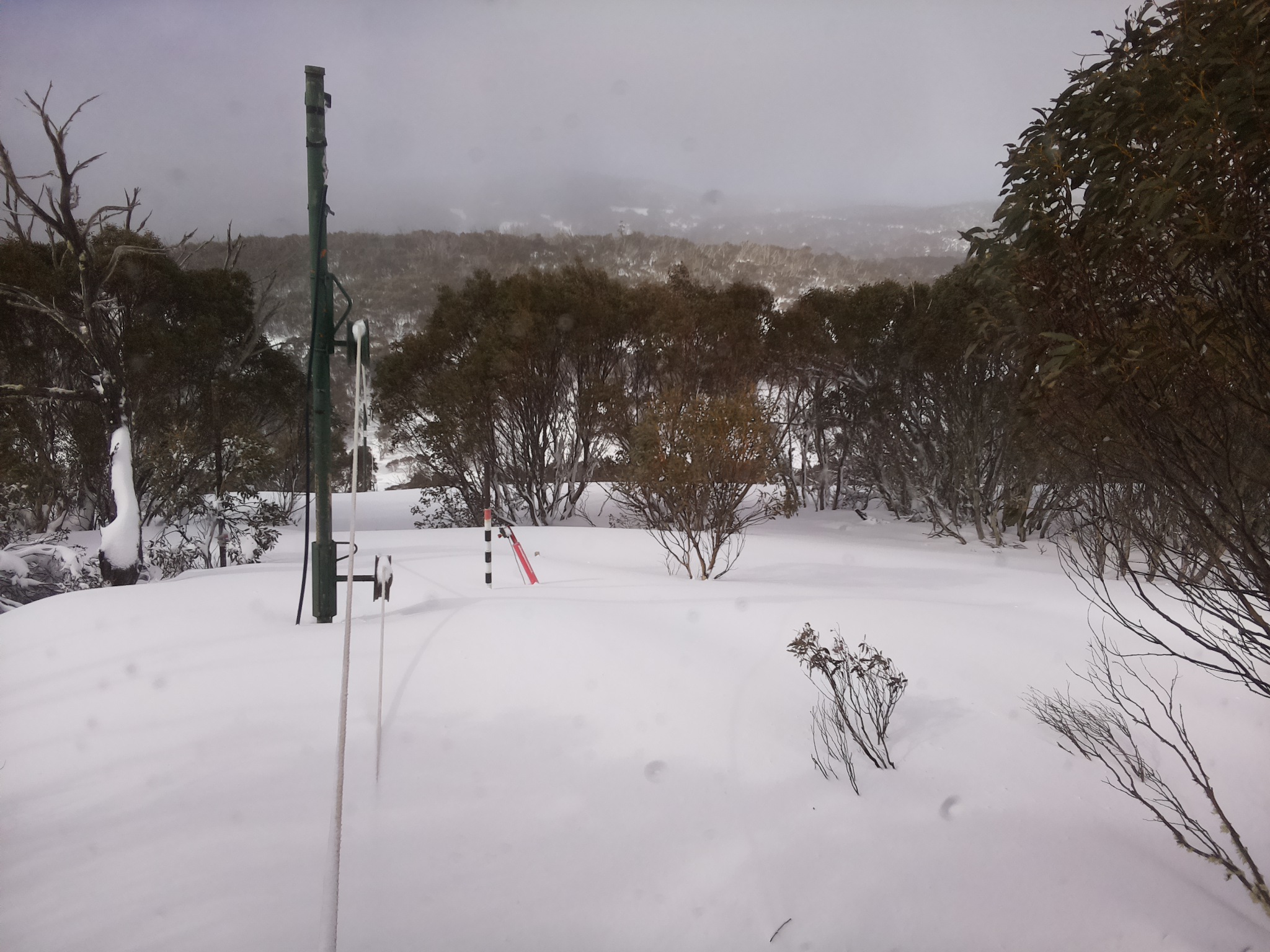Bogong Web Cam 9:40am Friday 29th of August 2025