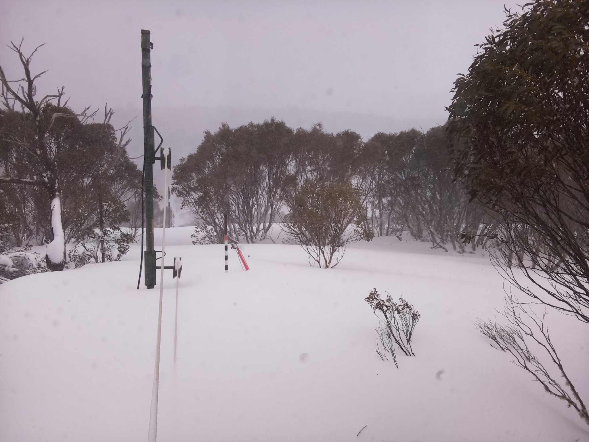 Bogong Web Cam 9:50am Friday 29th of August 2025