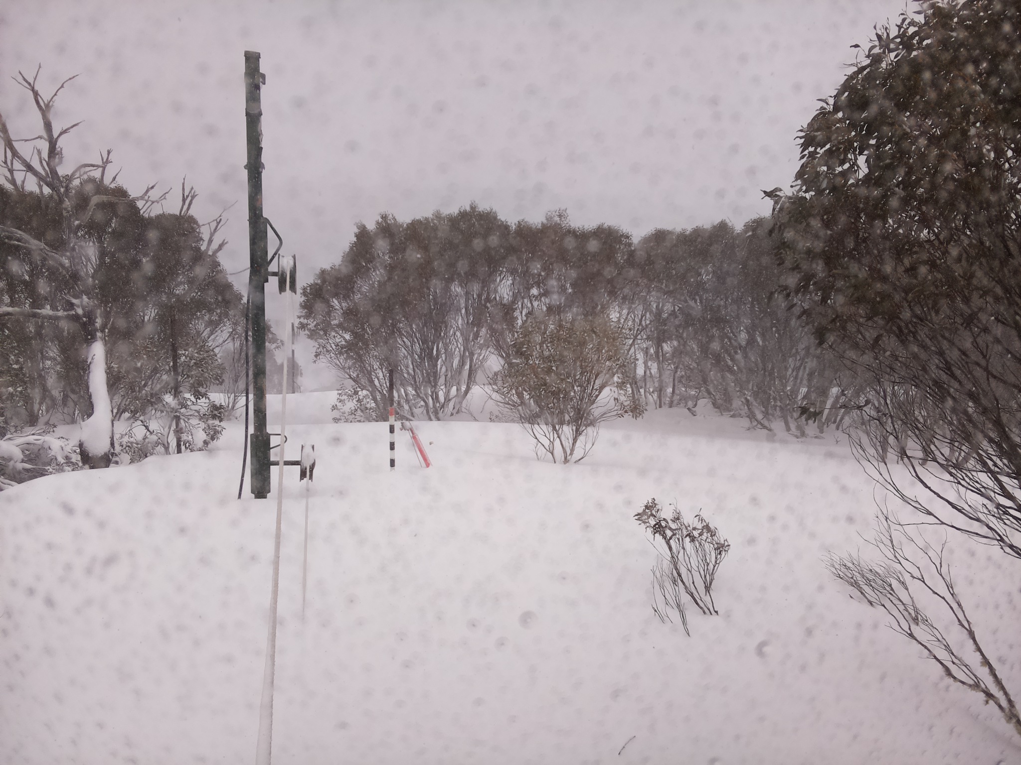 Bogong Web Cam 10:00am Friday 29th of August 2025