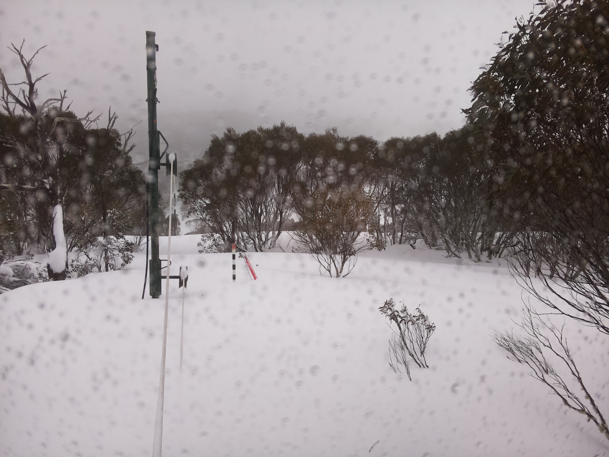 Bogong Web Cam 10:40am Friday 29th of August 2025