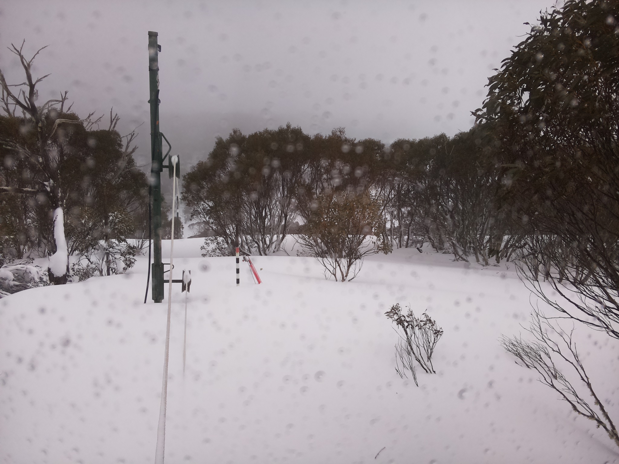 Bogong Web Cam 10:50am Friday 29th of August 2025
