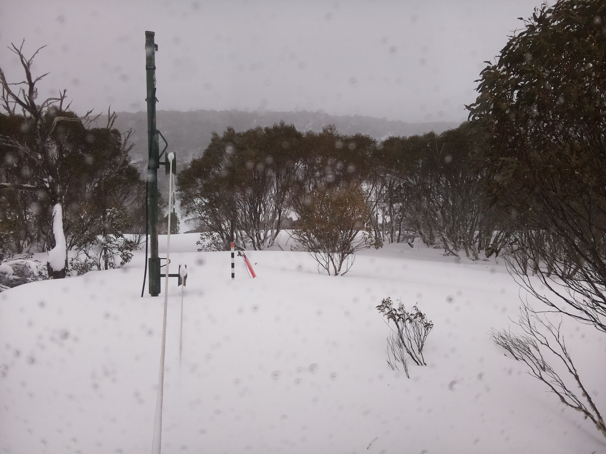 Bogong Web Cam 11:10am Friday 29th of August 2025