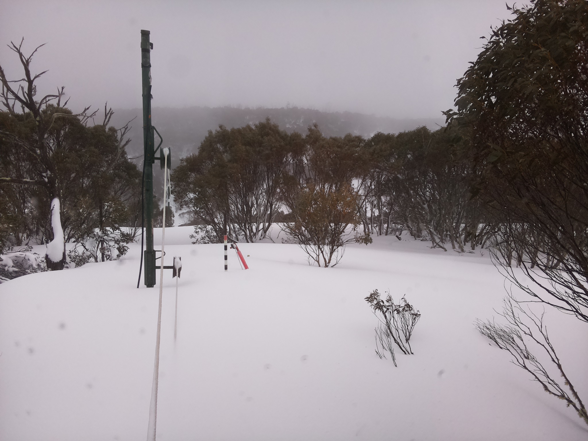 Bogong Web Cam 12:40pm Friday 29th of August 2025