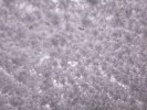 Thumbnail 10:10am Saturday 30th of August 2025