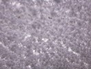 Thumbnail 10:20am Saturday 30th of August 2025