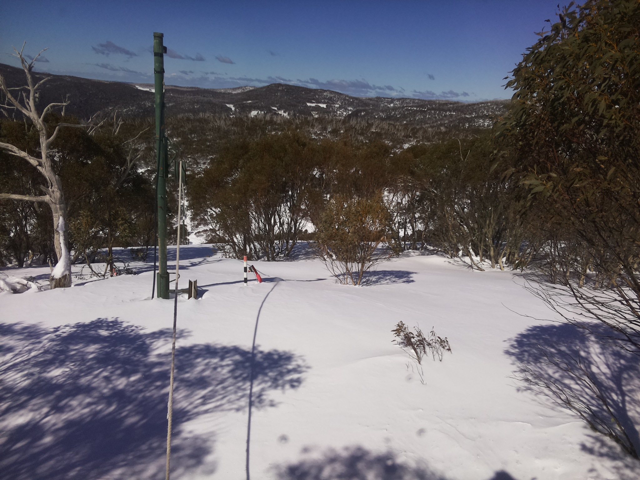 Bogong Web Cam 11:40am Sunday 31st of August 2025