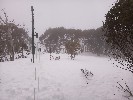 Thumbnail 11:20am Wednesday 3rd of September 2025