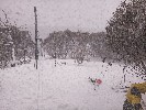Thumbnail 9:50am Thursday 4th of September 2025