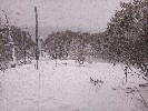 Thumbnail 10:10am Thursday 4th of September 2025
