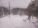 Thumbnail 10:20am Thursday 4th of September 2025