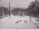 Thumbnail 10:50am Thursday 4th of September 2025