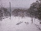 Thumbnail 11:10am Thursday 4th of September 2025