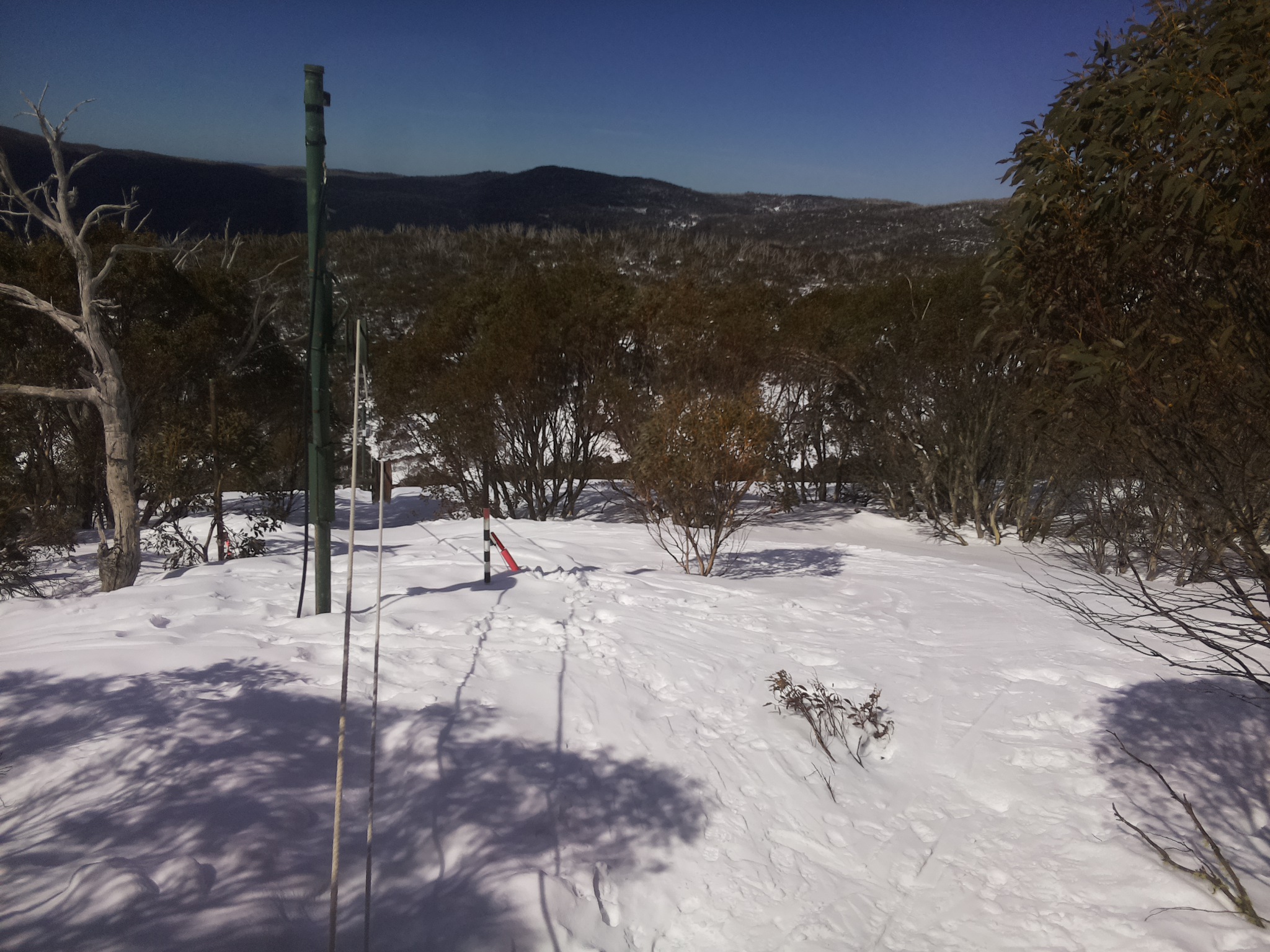 Bogong Web Cam 11:10am Saturday 6th of September 2025