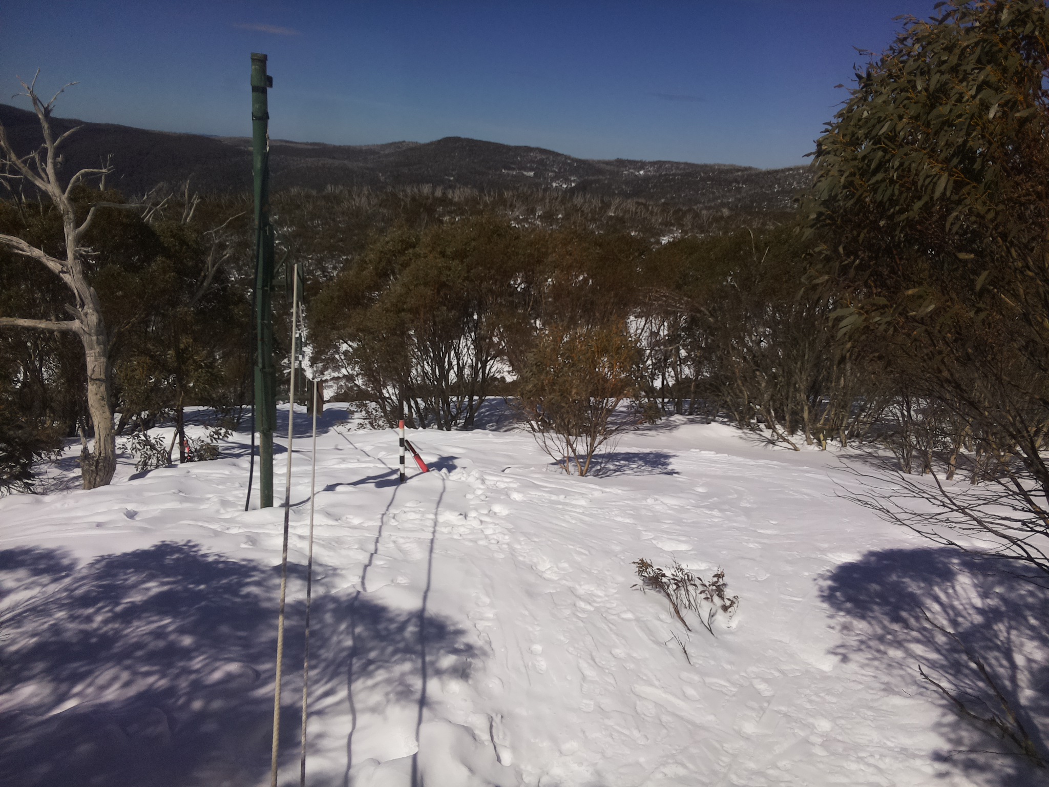 Bogong Web Cam 11:40am Saturday 6th of September 2025