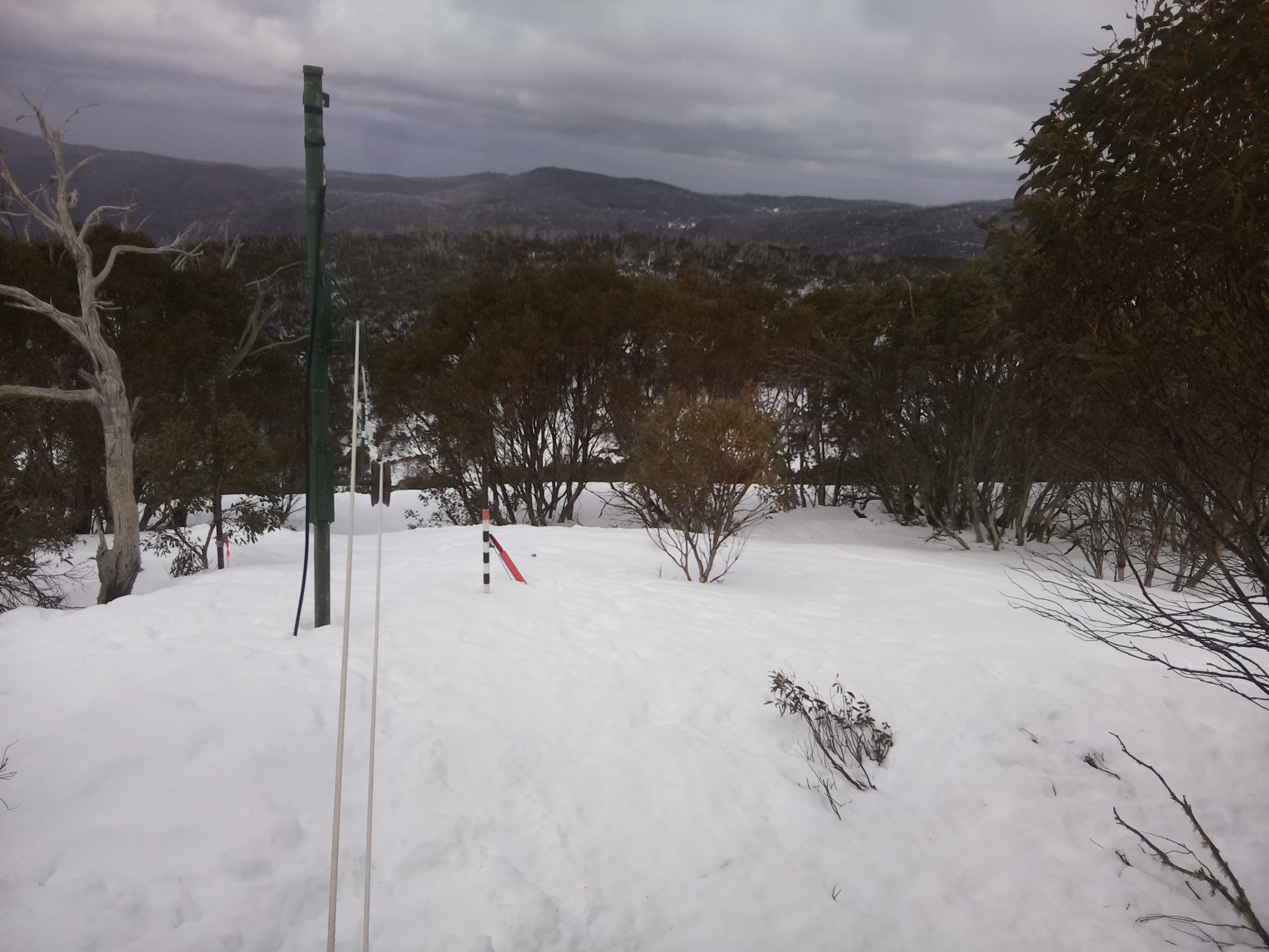 Bogong Web Cam 11:50am Sunday 7th of September 2025