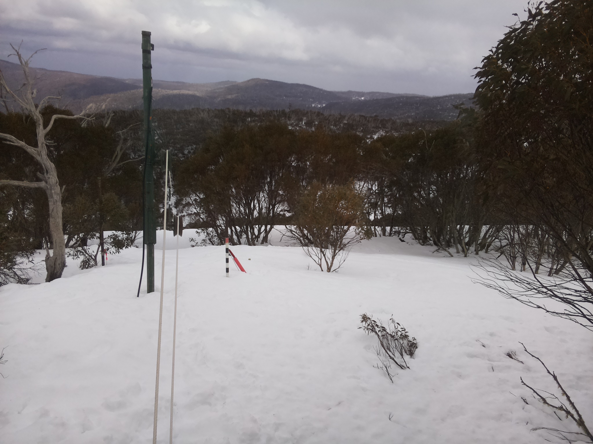 Bogong Web Cam 12:10pm Sunday 7th of September 2025