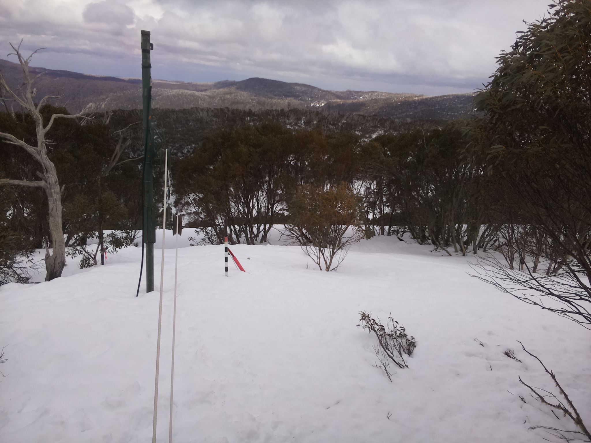 Bogong Web Cam 12:40pm Sunday 7th of September 2025