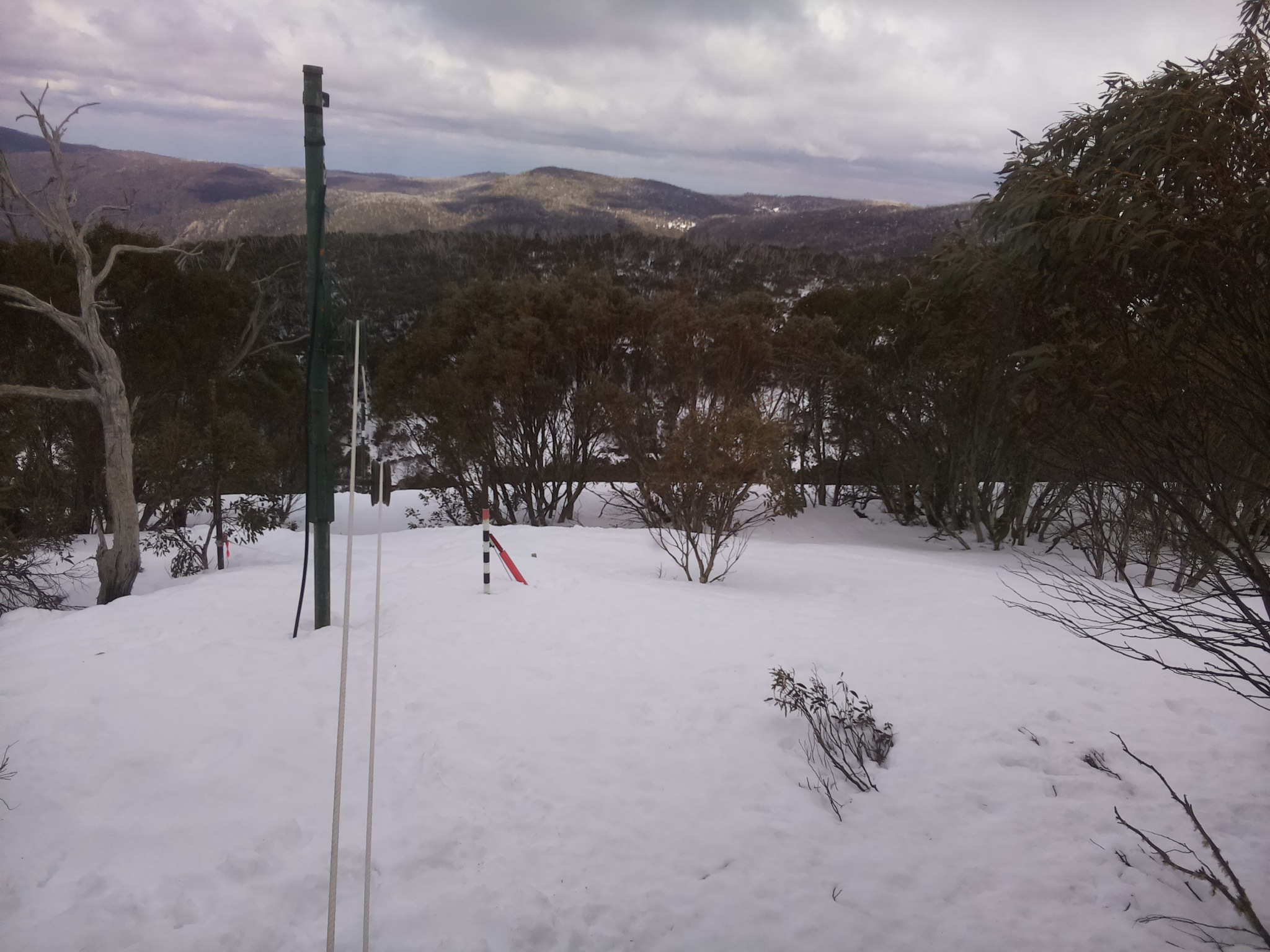 Bogong Web Cam 12:50pm Sunday 7th of September 2025