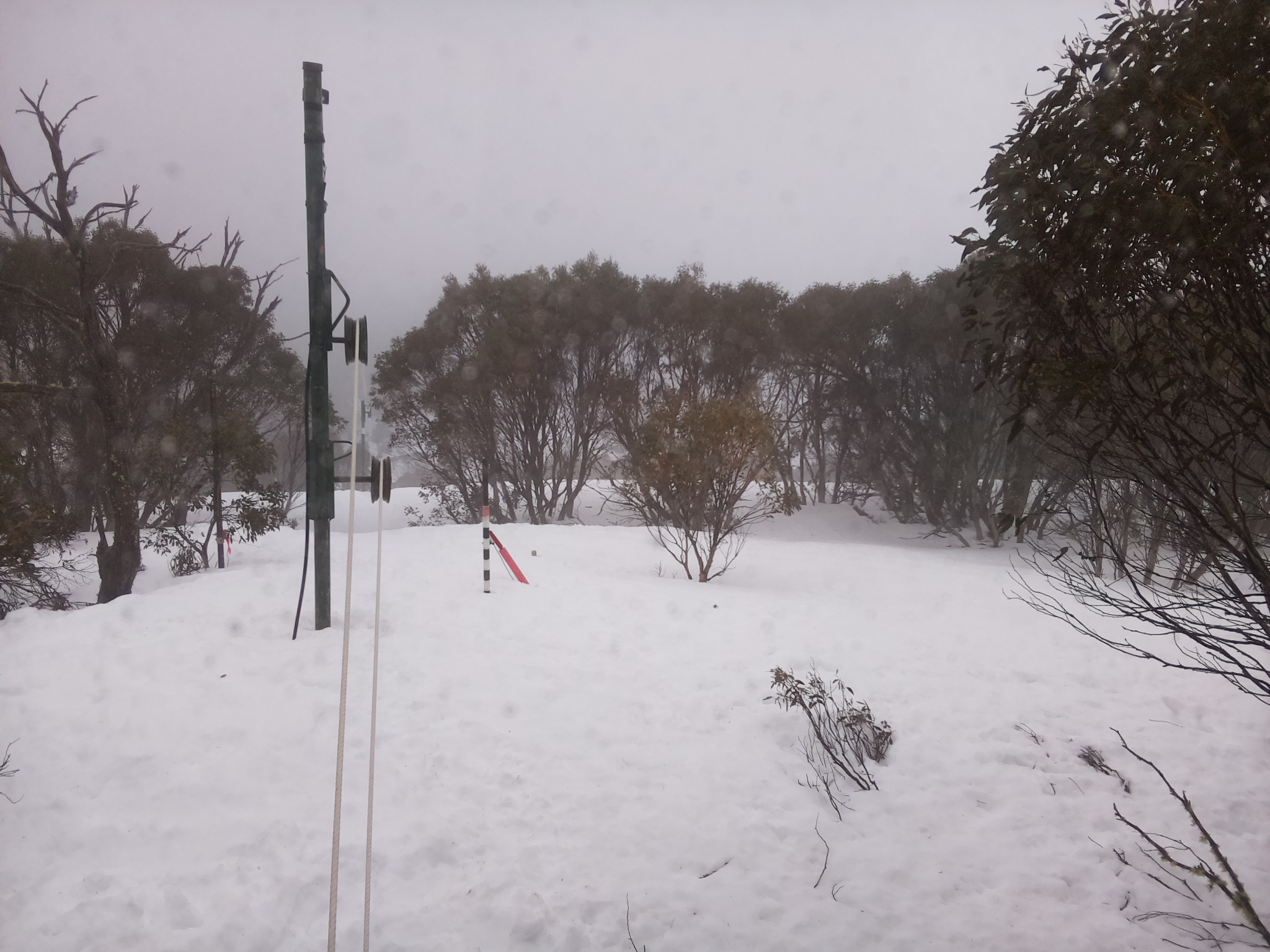 Bogong Web Cam 3:20pm Sunday 7th of September 2025