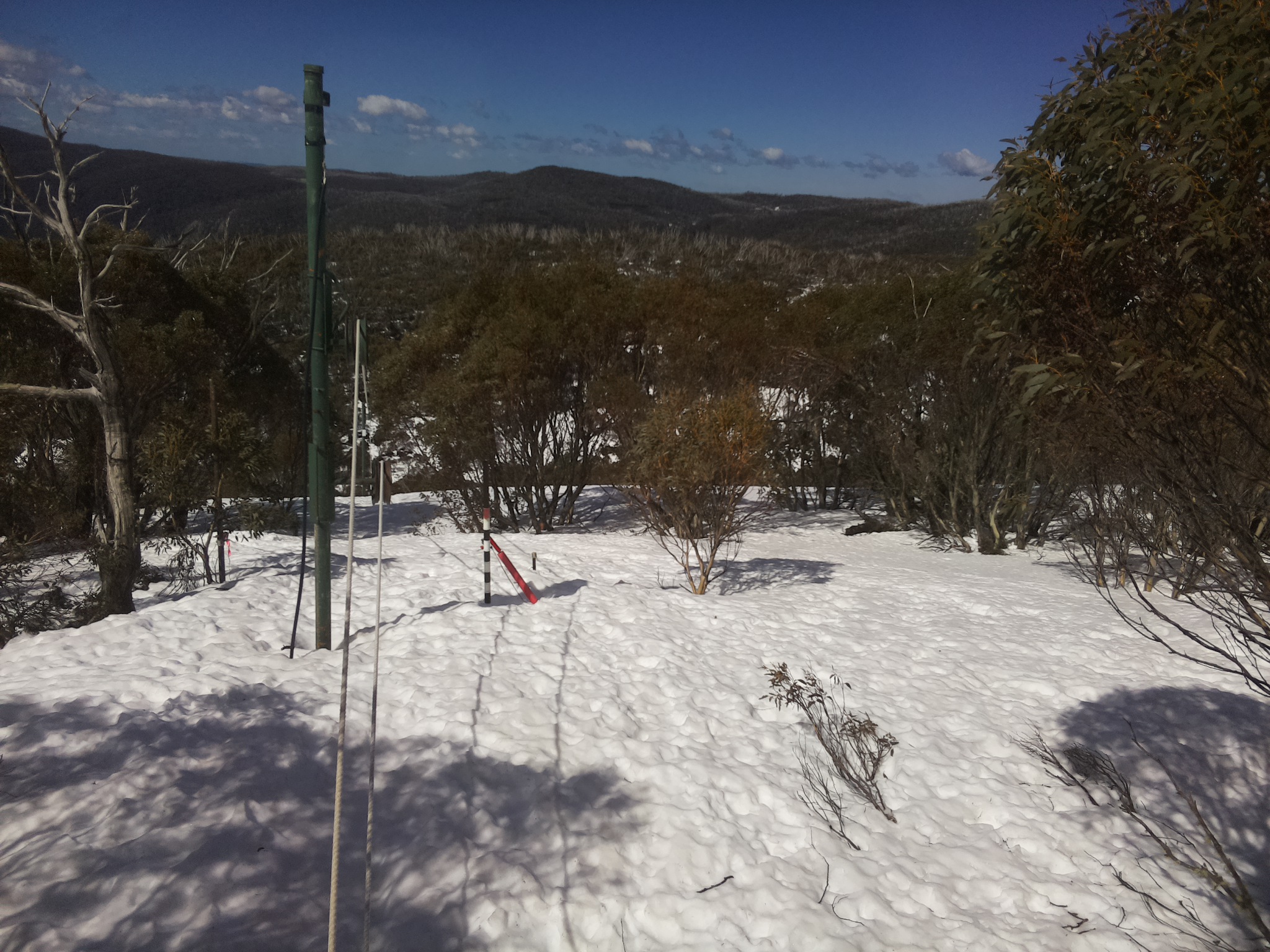 Bogong Web Cam 11:20am Monday 8th of September 2025