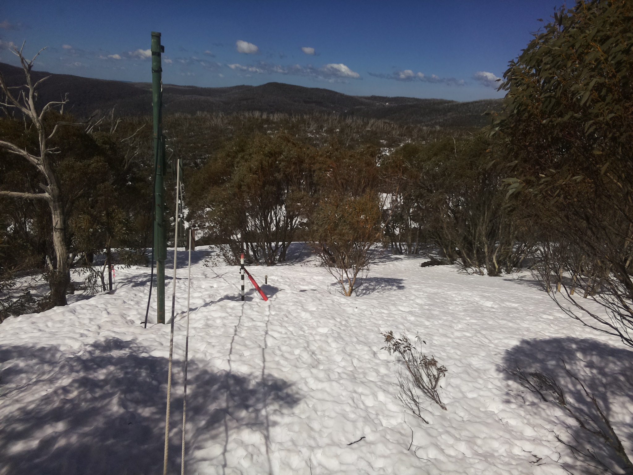 Bogong Web Cam 11:40am Monday 8th of September 2025