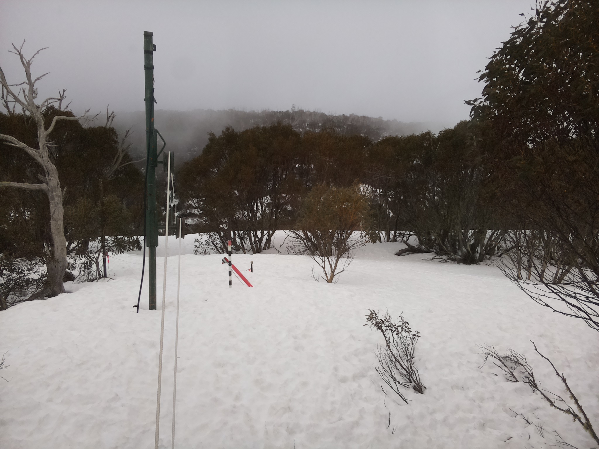 Bogong Web Cam 10:30am Wednesday 10th of September 2025
