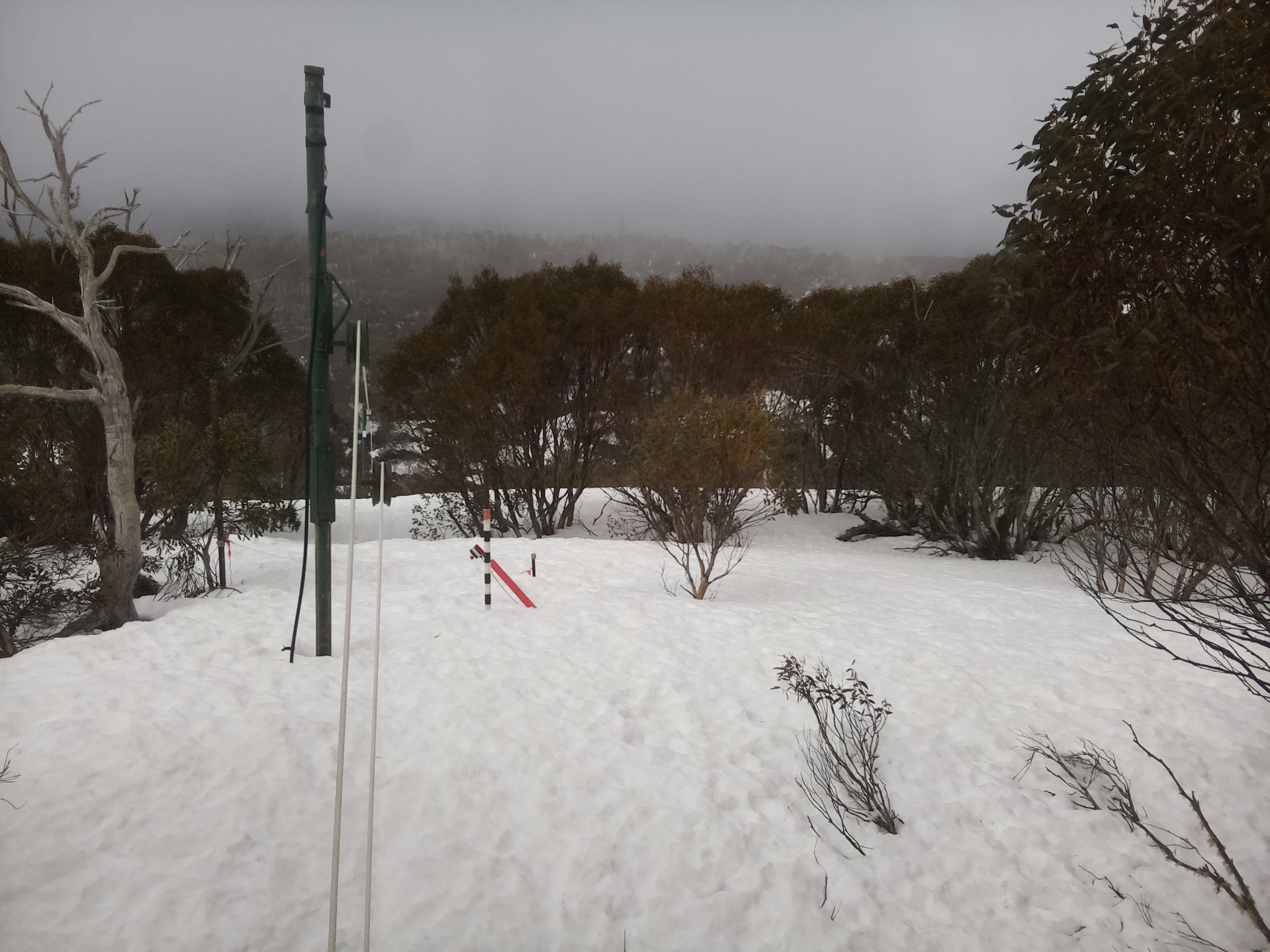 Bogong Web Cam 10:50am Wednesday 10th of September 2025